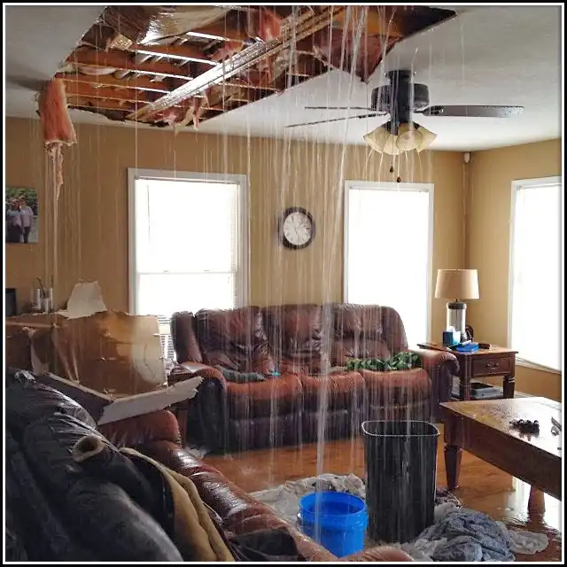 Water Damage Restoration services in Des Moines, WA