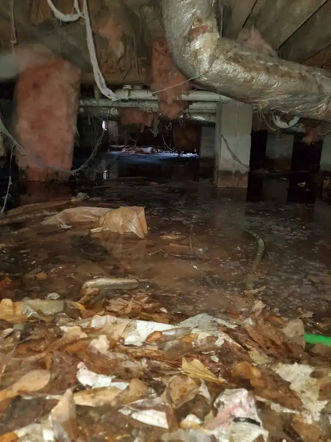 Crawl space flood assessment for Leak Detection & Repair in Des Moines